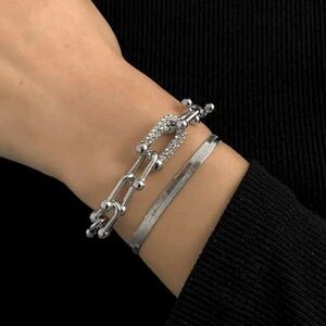 Silver Plated Zircon U Shaped Bracelet Set Snake stainless steel womens jewelry